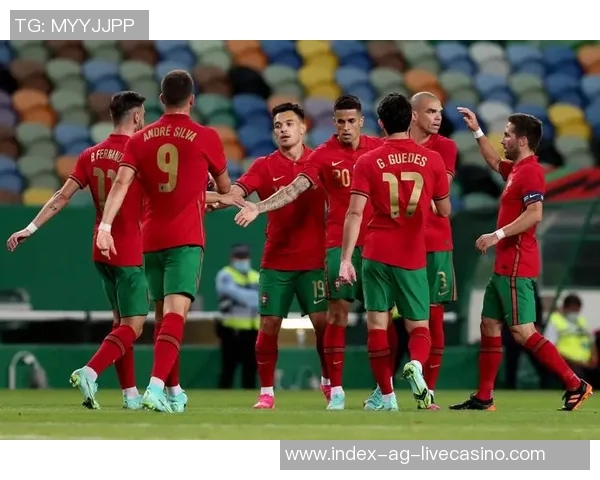 葡萄牙足球比赛精彩回顾与未来展望球迷热情与球队表现的完美结合